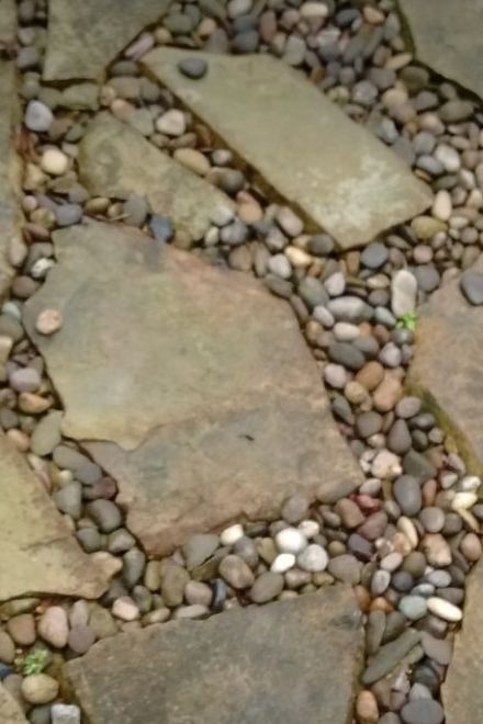 Grey flagstone slabs set in small multicoloured pebbles