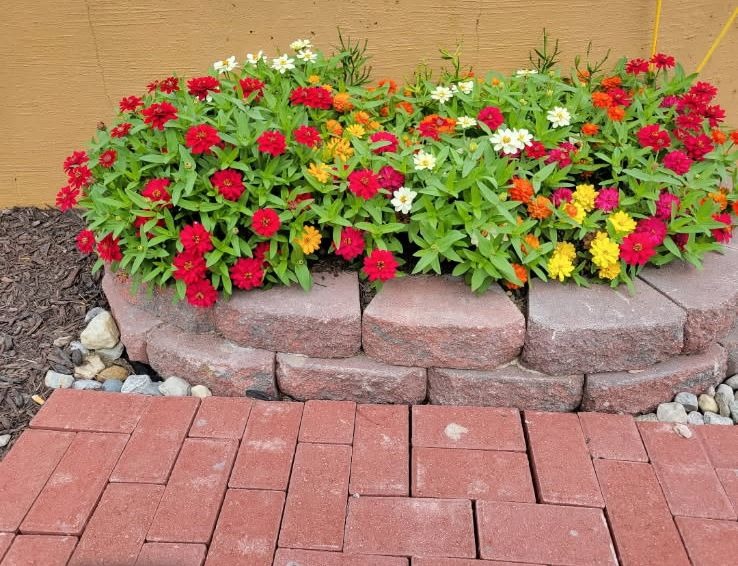 A low circular stone planter filled with flowers beside red brick paving
