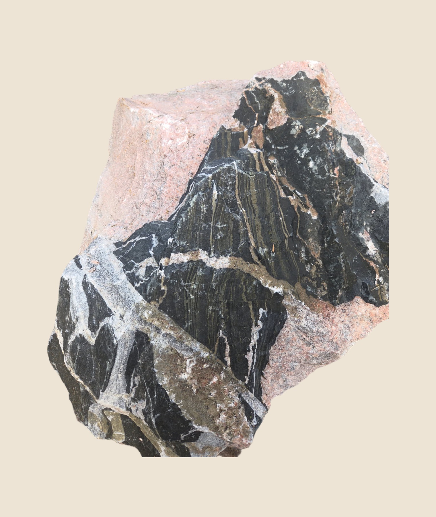 The whole veined boulder shown uncropped on a plain sand ground, pinkish tan outside and dark and veined through the face